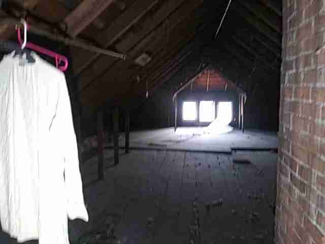 Testing again(33).jpg